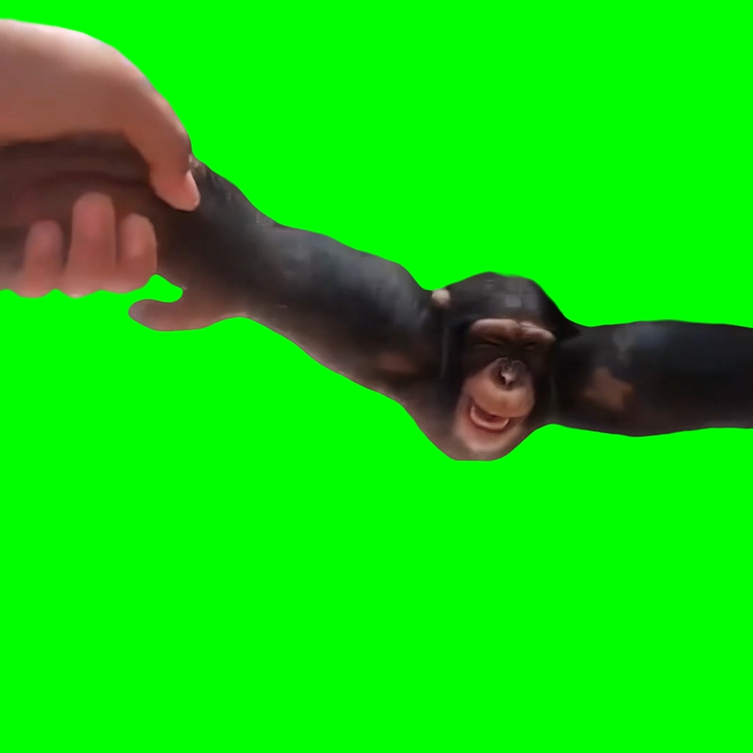 Baby Chimpanzee Spinning Around meme (Green Screen)