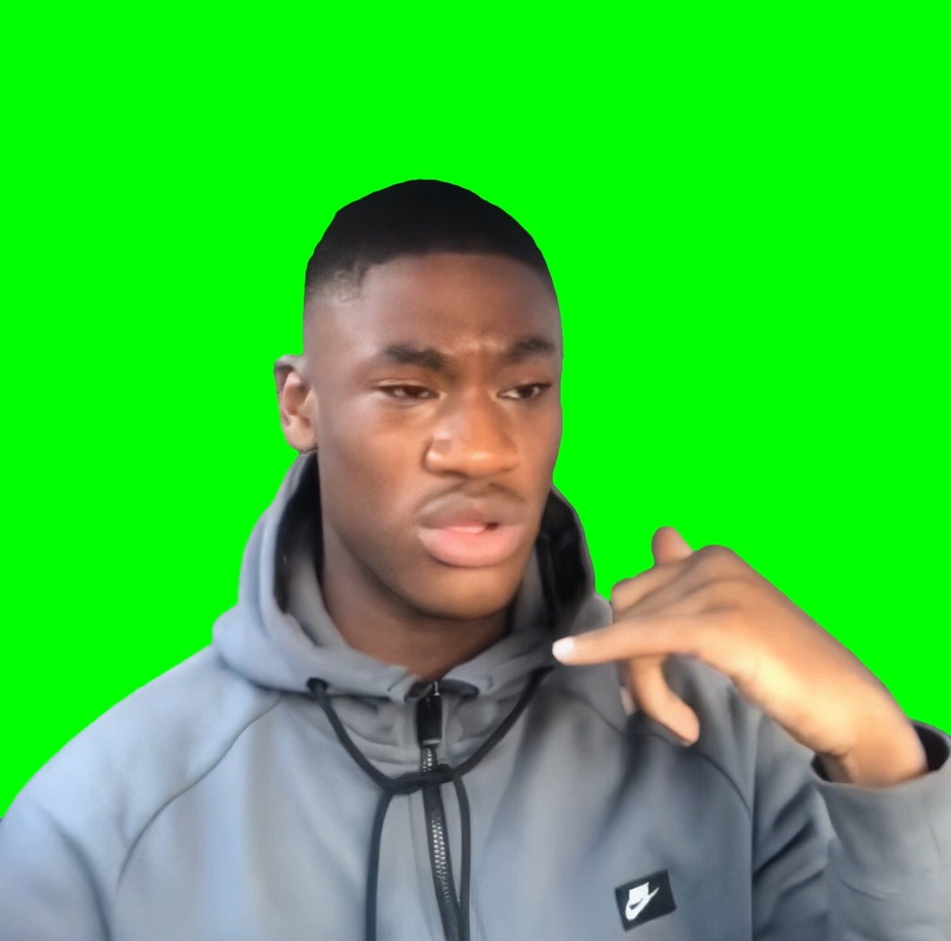 You're Ruining It! meme (Green Screen)