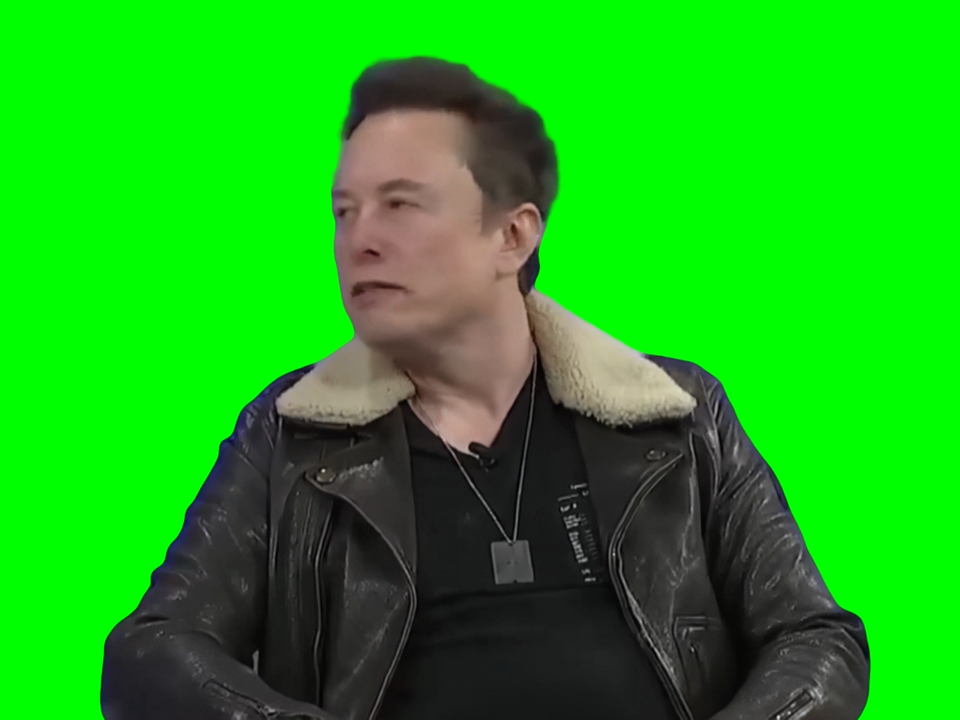 Elon Musk - Go F yourself (Green Screen)