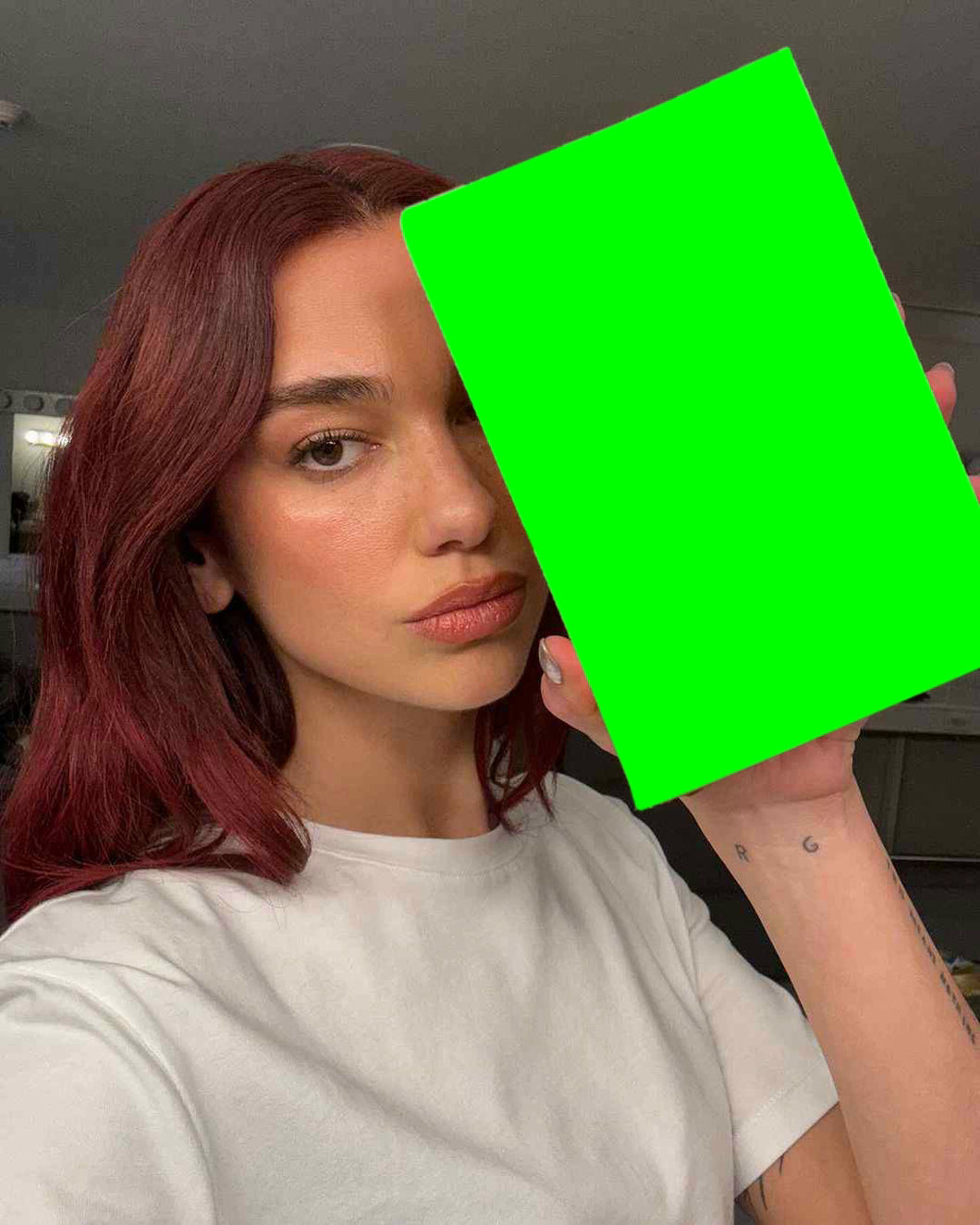 Dua Lipa Holding a Book meme (Green Screen)