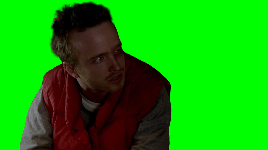 Jesse Pinkman 