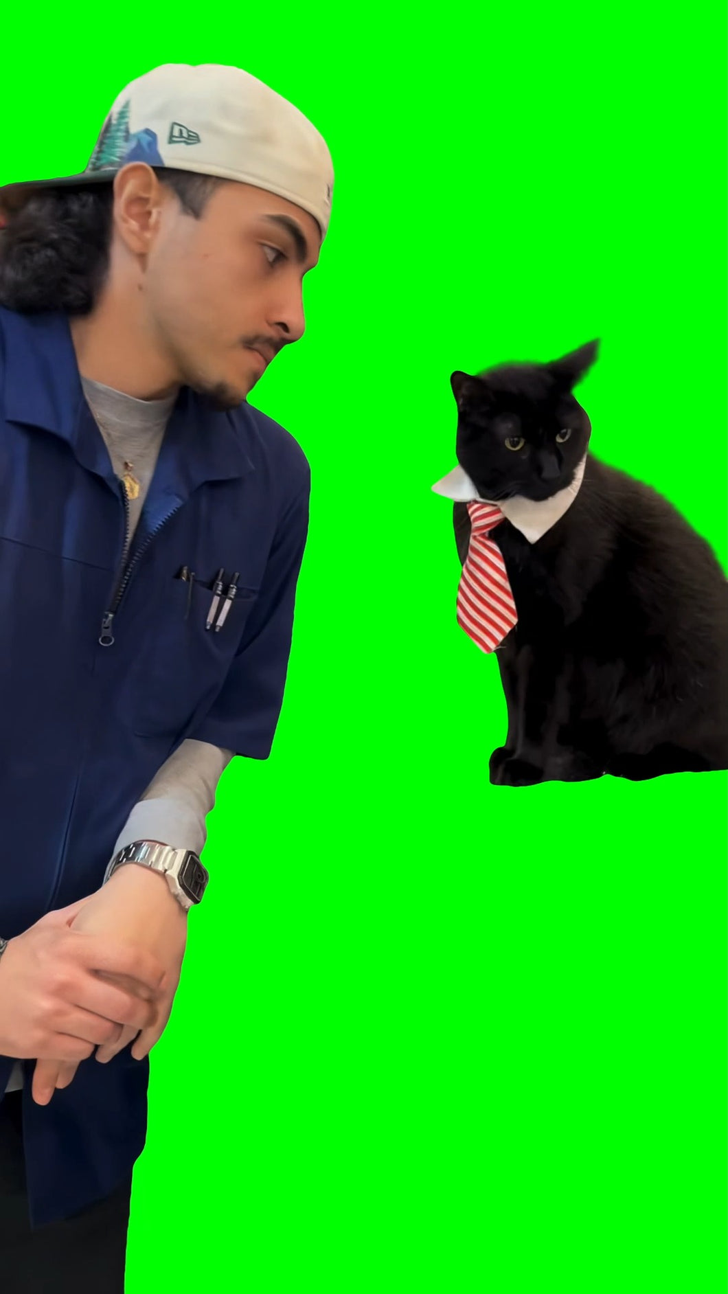Man kissing a cat with a tie meme (Green Screen)
