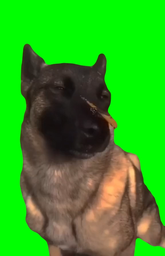 I Have No Enemies - Butterfly Dog meme (Green Screen)