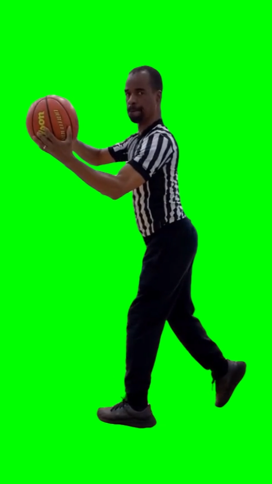 Referee catches basketball TikTok meme (Green Screen)