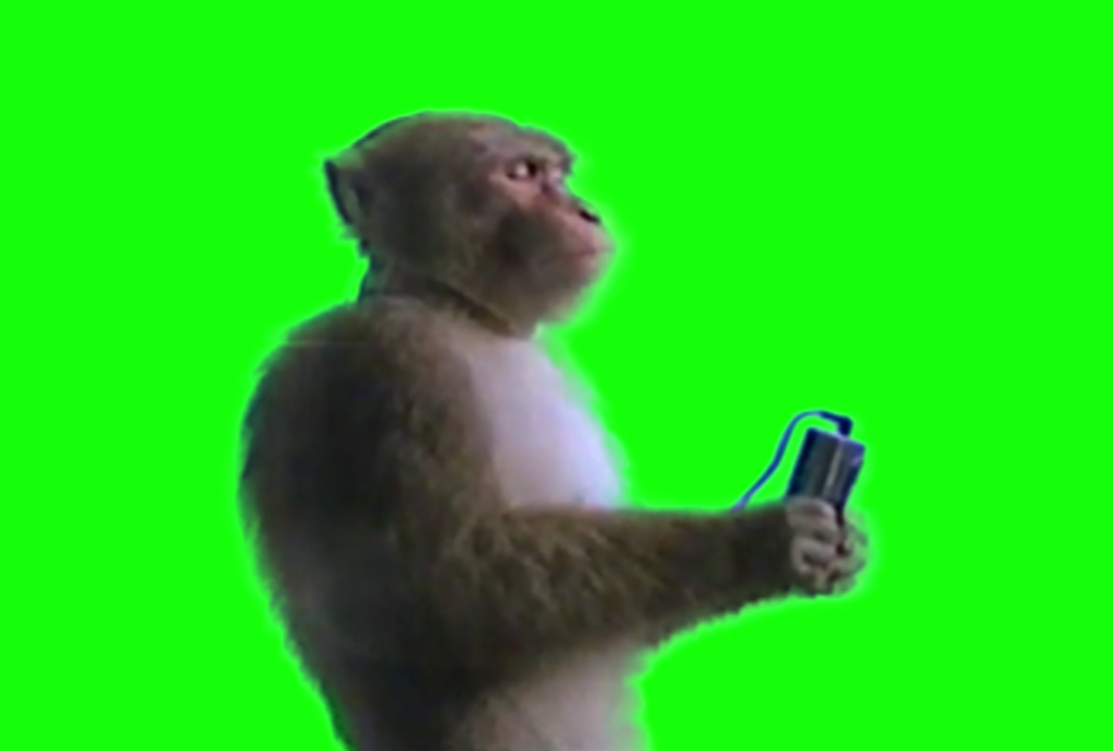 Monkey listening to music meme (Green Screen) – CreatorSet