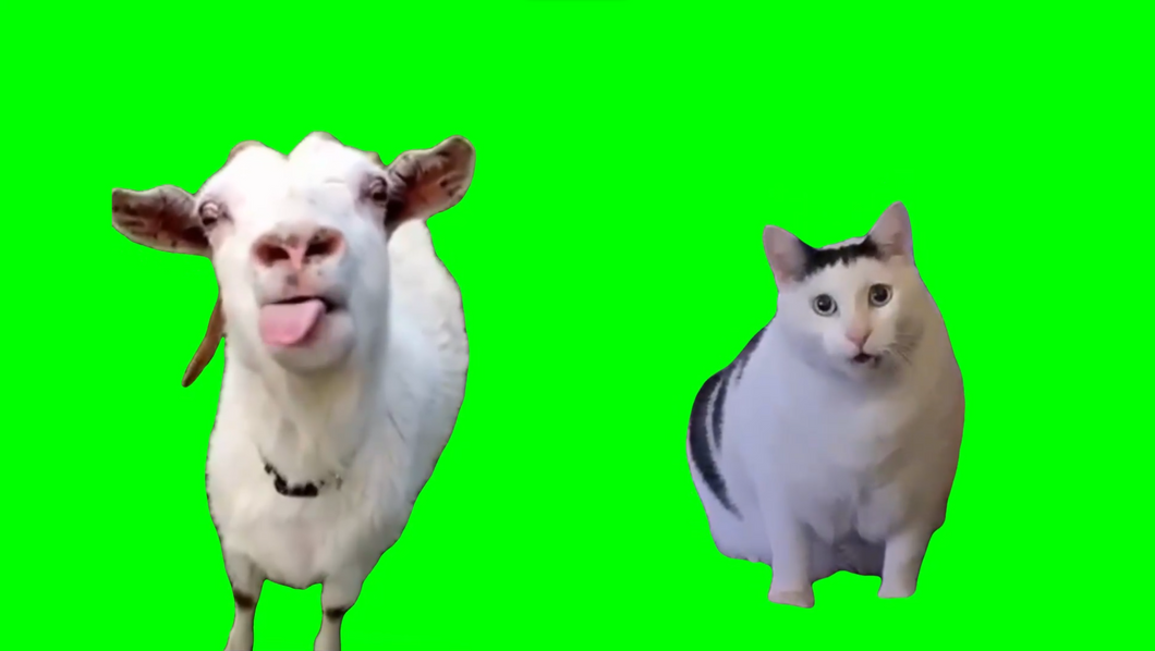 Goat talking to clueless Huh? Cat meme (Green Screen)
