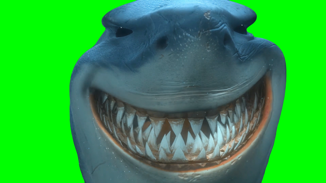 Bruce the great white shark - “Oh, that’s good!” - Find Nemo (Green Screen)