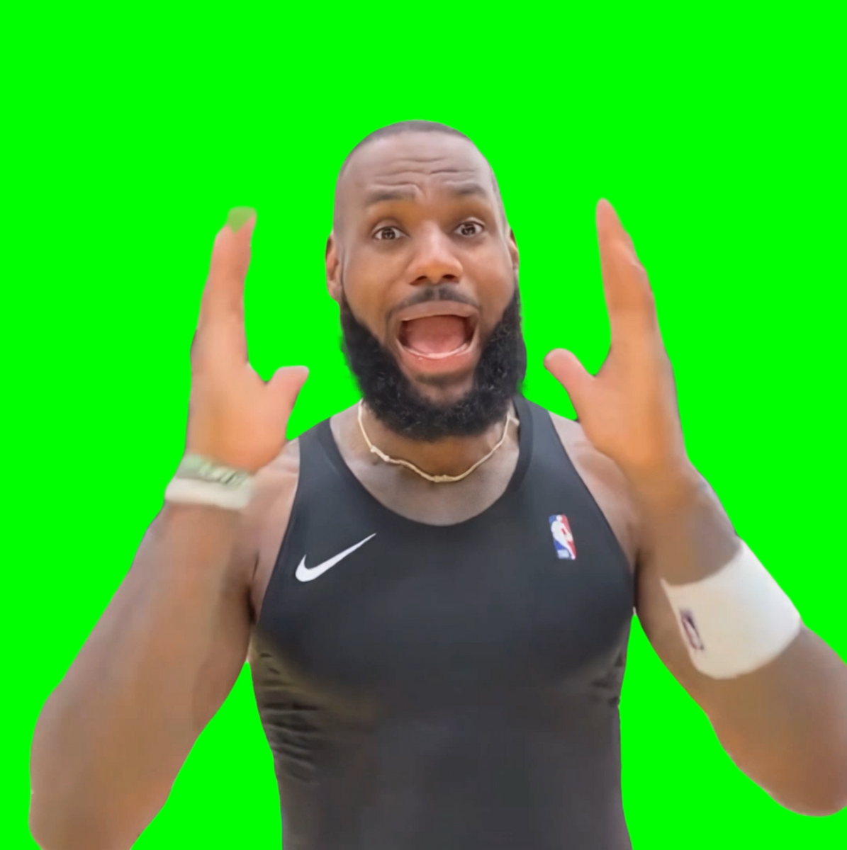 LeBron James Screaming meme (Green Screen) – CreatorSet