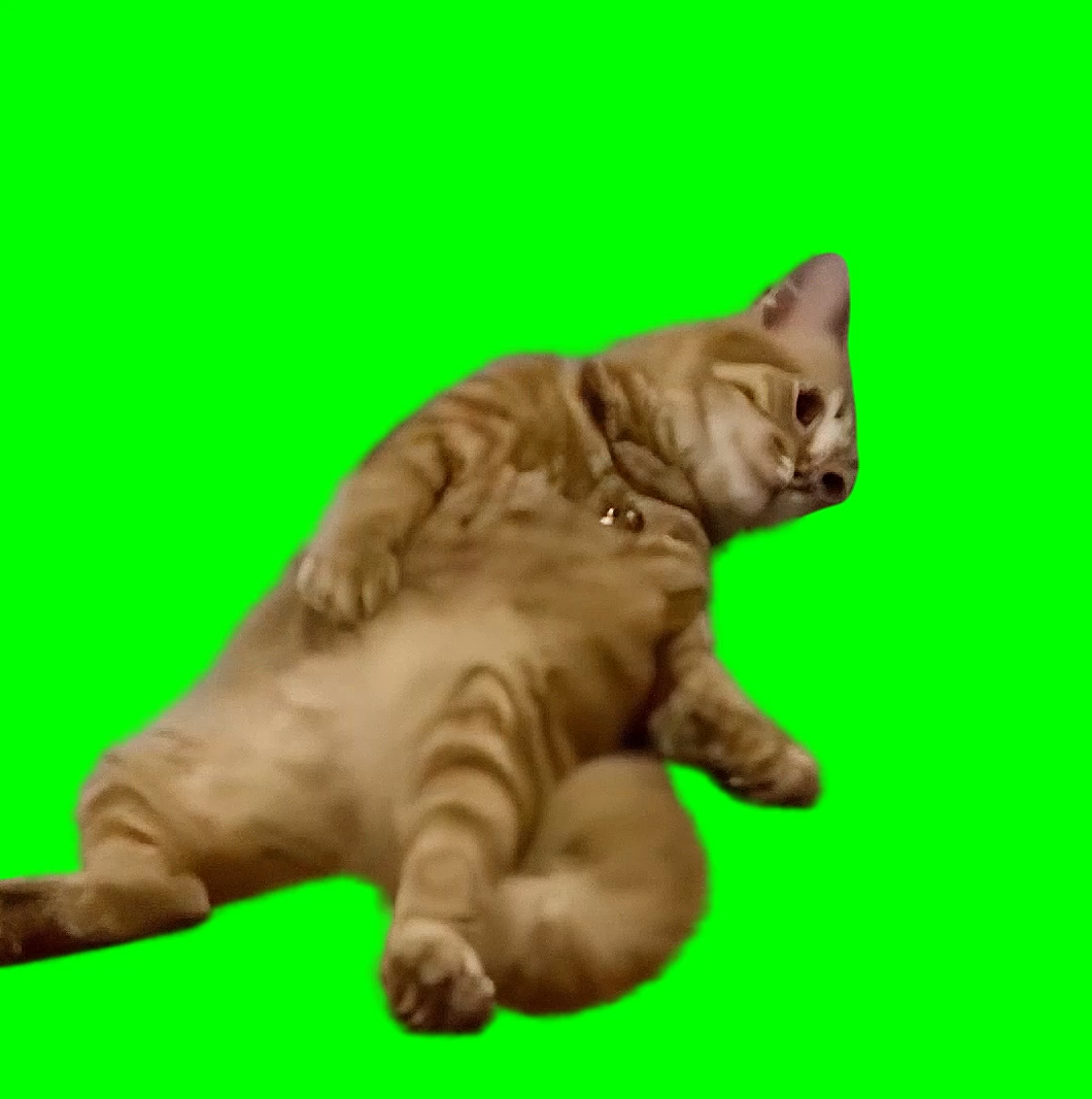 Tired Cat meme - Exhausted Cat meme (Green Screen)