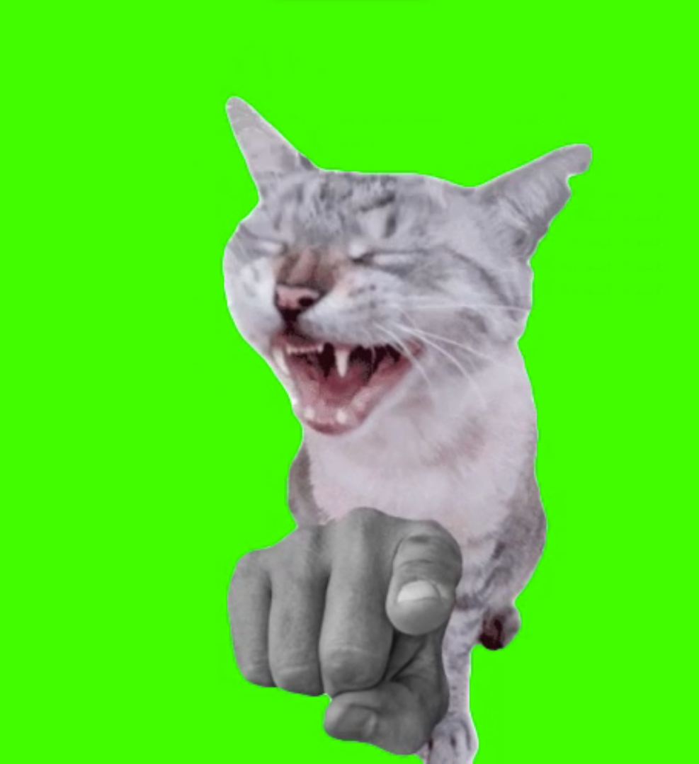 Grey Cat Pointing and Laughing meme (Green Screen)