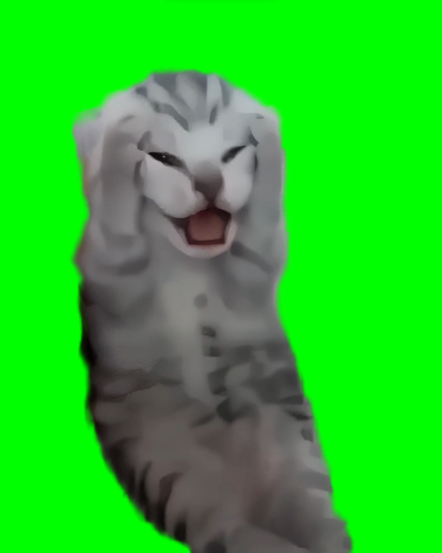 Kitten Screaming while Holding Head Meme (Green Screen)