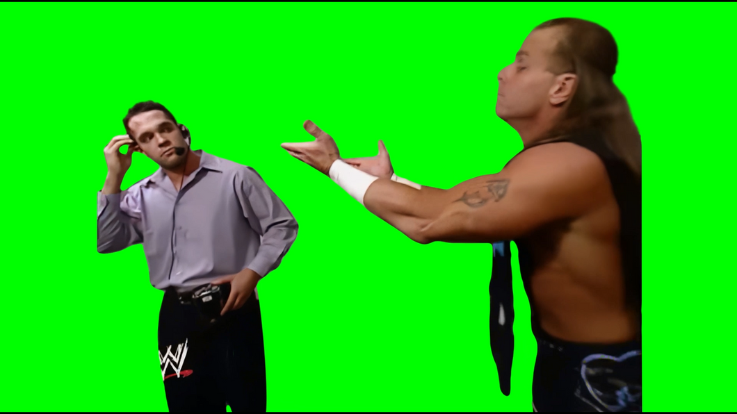 Shawn Michaels kicks Stan meme - WWE (Green Screen)