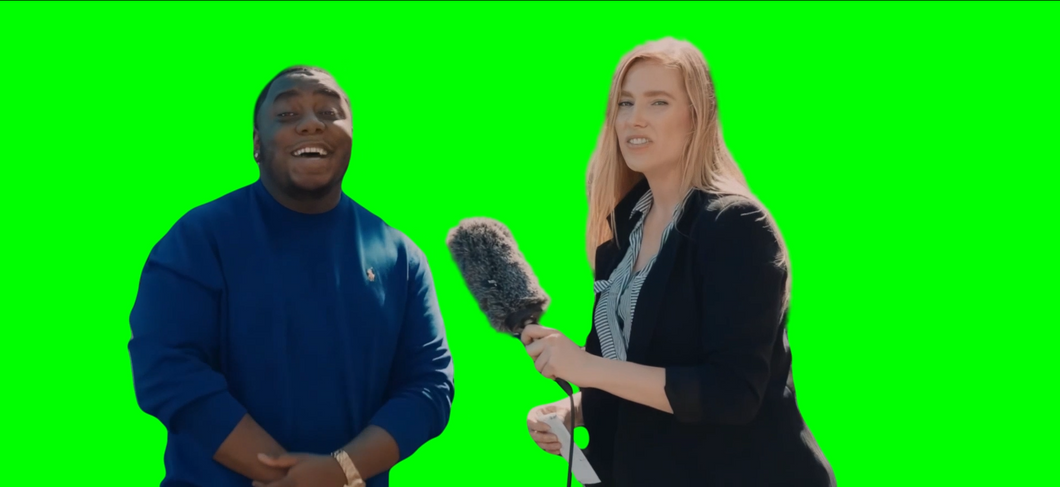 I Ain't See Nothing meme (Green Screen)