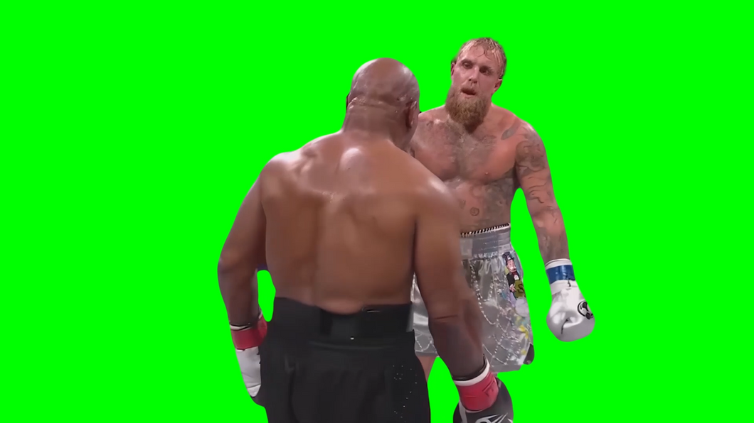 Jake Paul bows to Mike Tyson meme - Jake Paul vs Mike Tyson Boxing 2024 (Green Screen)