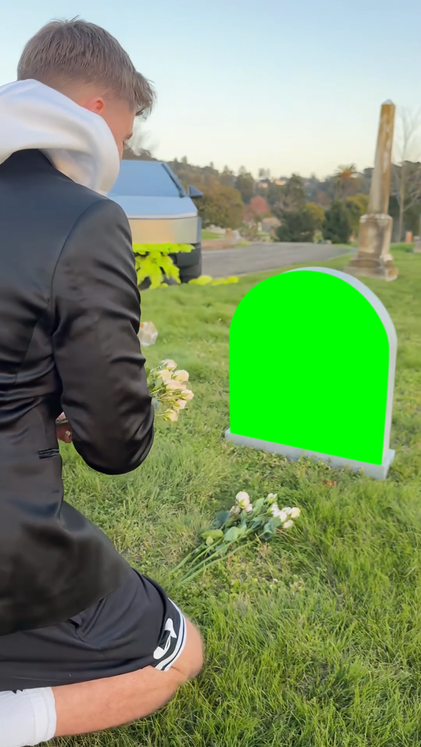 MrBeast crying at Duolingo Owl's Grave meme (Green Screen)