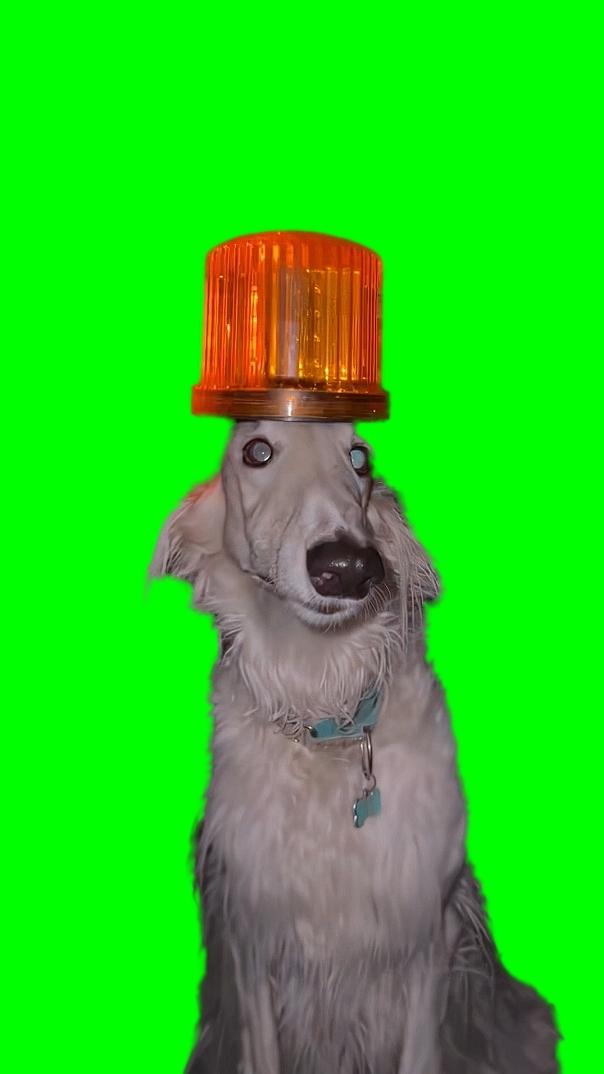 Dog with Siren Lamp meme (Green Screen)