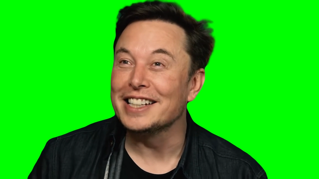 Elon Musk Laughing (Green Screen)