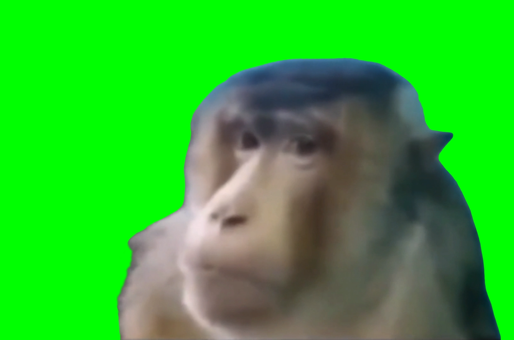 Monkey Side Eye with FNAF 2 ambience meme (Green Screen)