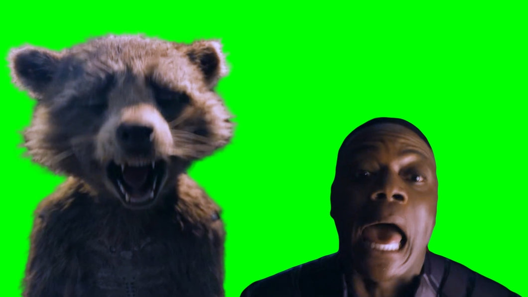 Rocket Raccoon crying and getting mocked by The High Evolutionary - Guardians of the Galaxy Vol 3 (Green Screen)