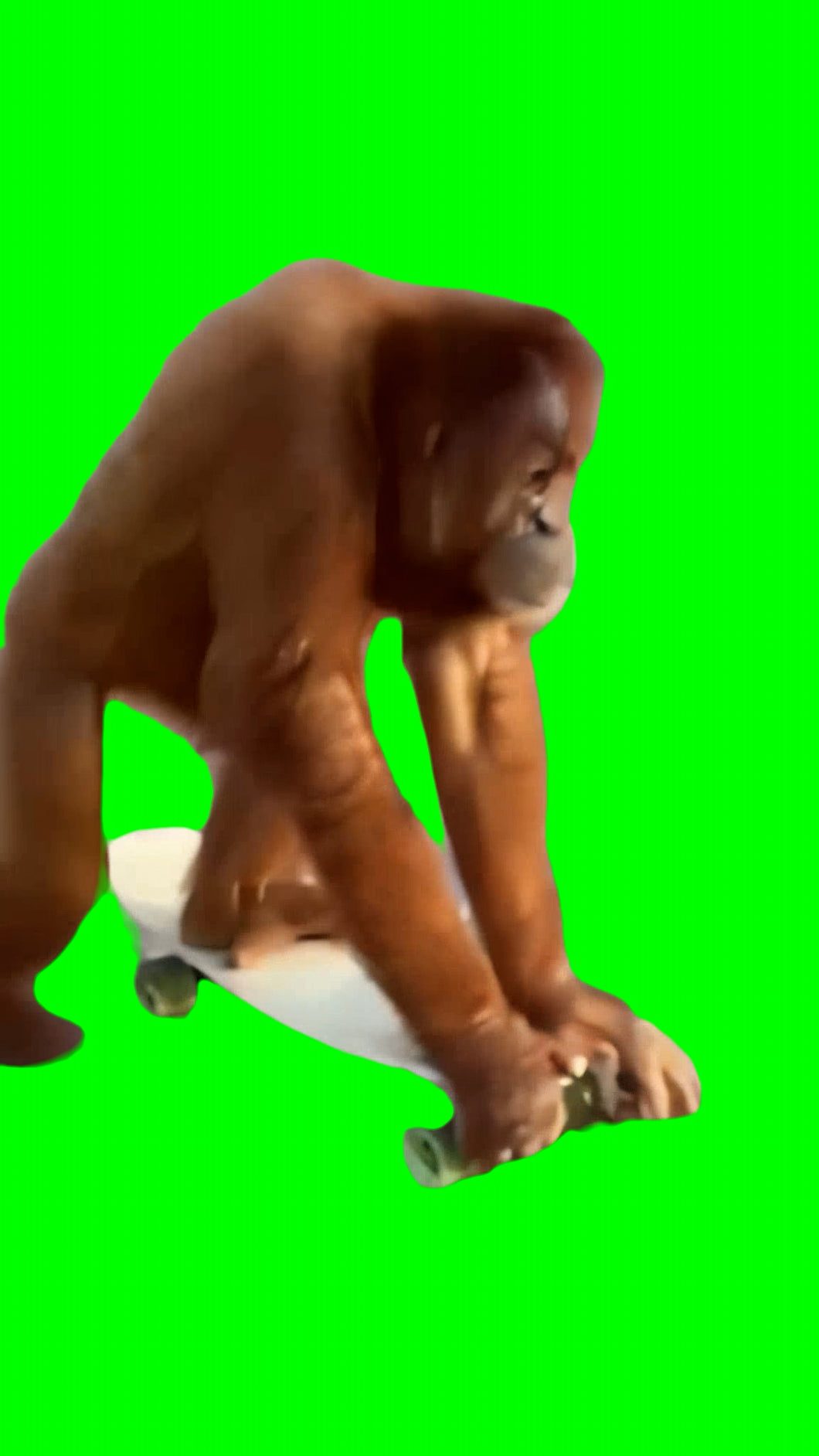 Monkey On Skateboard (Green Screen)