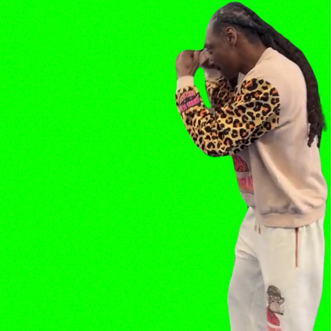 Snoop Dogg Boxing (Green Screen)