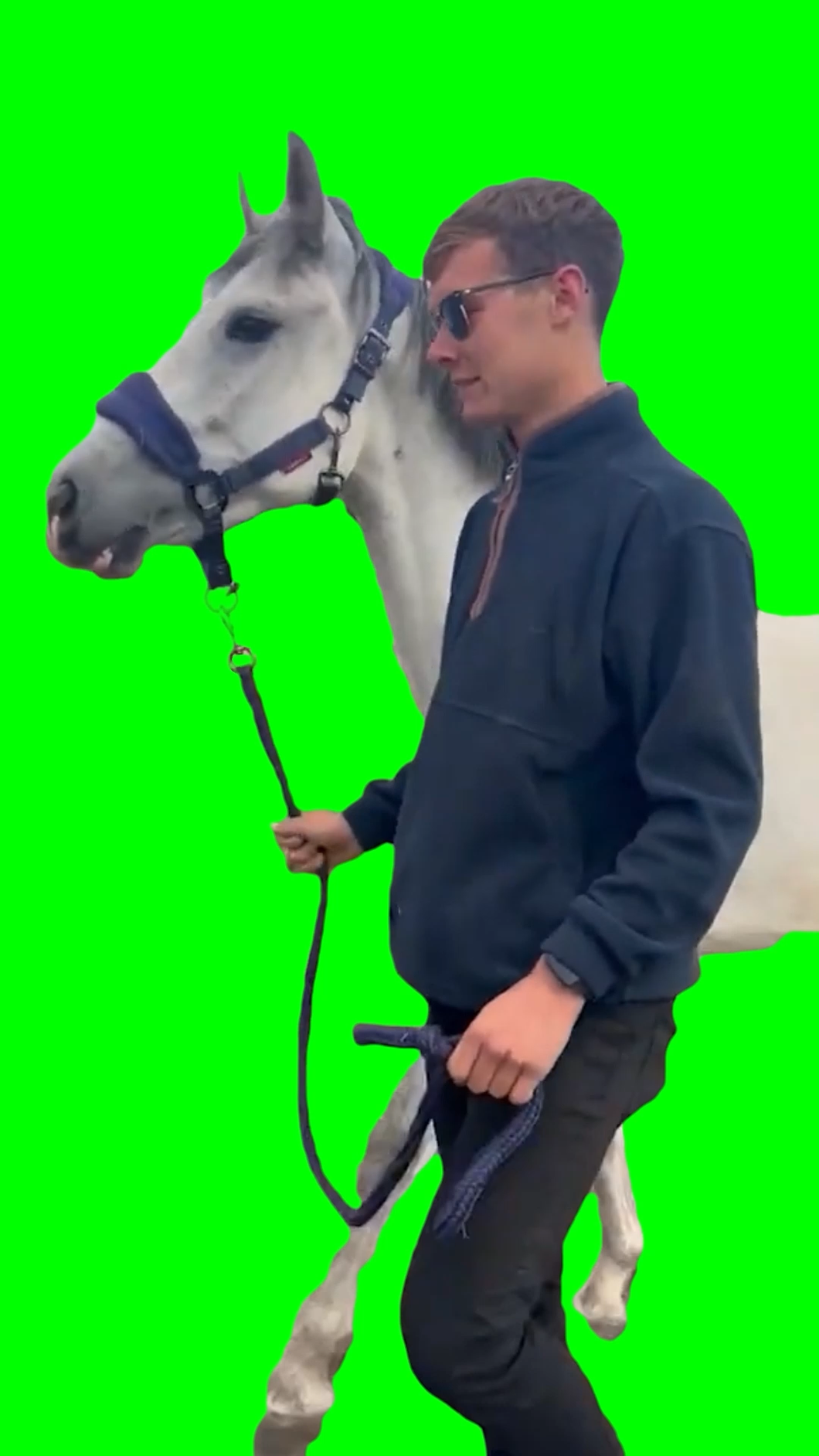 Scared Horse Drags Man (Green Screen)