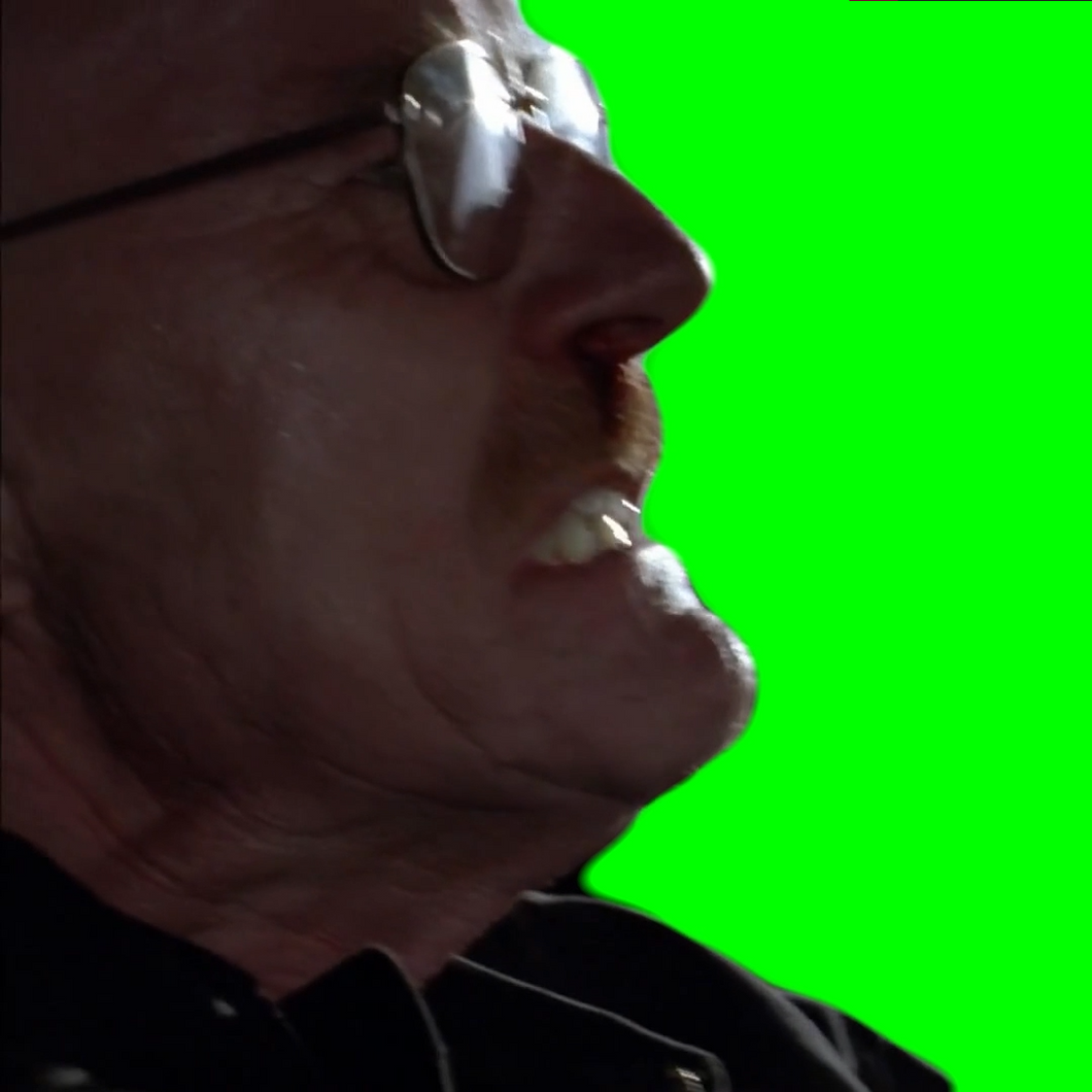 Walter White Rage (Green Screen)