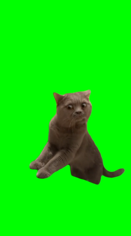 Cat smelling foot Bombastic Side Eye Meme (Green Screen)