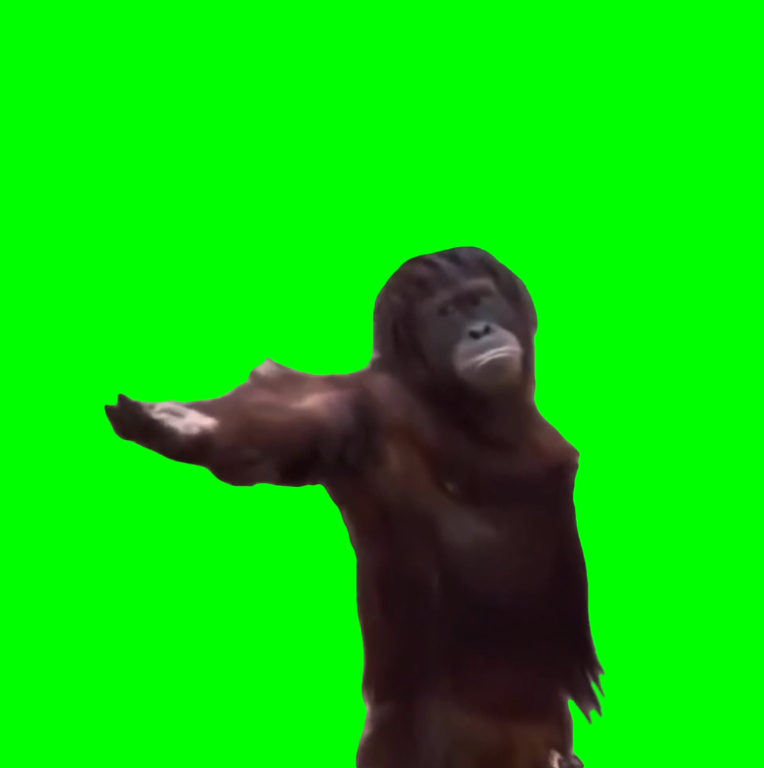Orangutan Demands For Food (Green Screen Template) (Green Screen)