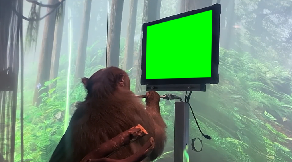 Neuralink Monkey Gaming (Green Screen Template) (Green Screen)