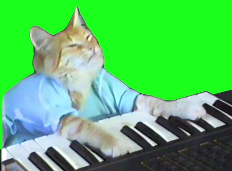 Keyboard Piano Cat (Green Screen)
