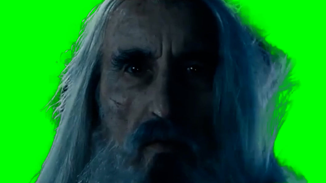 The Fellowship of the Ring - So You Have Chosen Death (Green Screen)