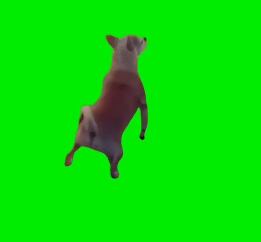 Dog Twerking Meme (Green Screen)