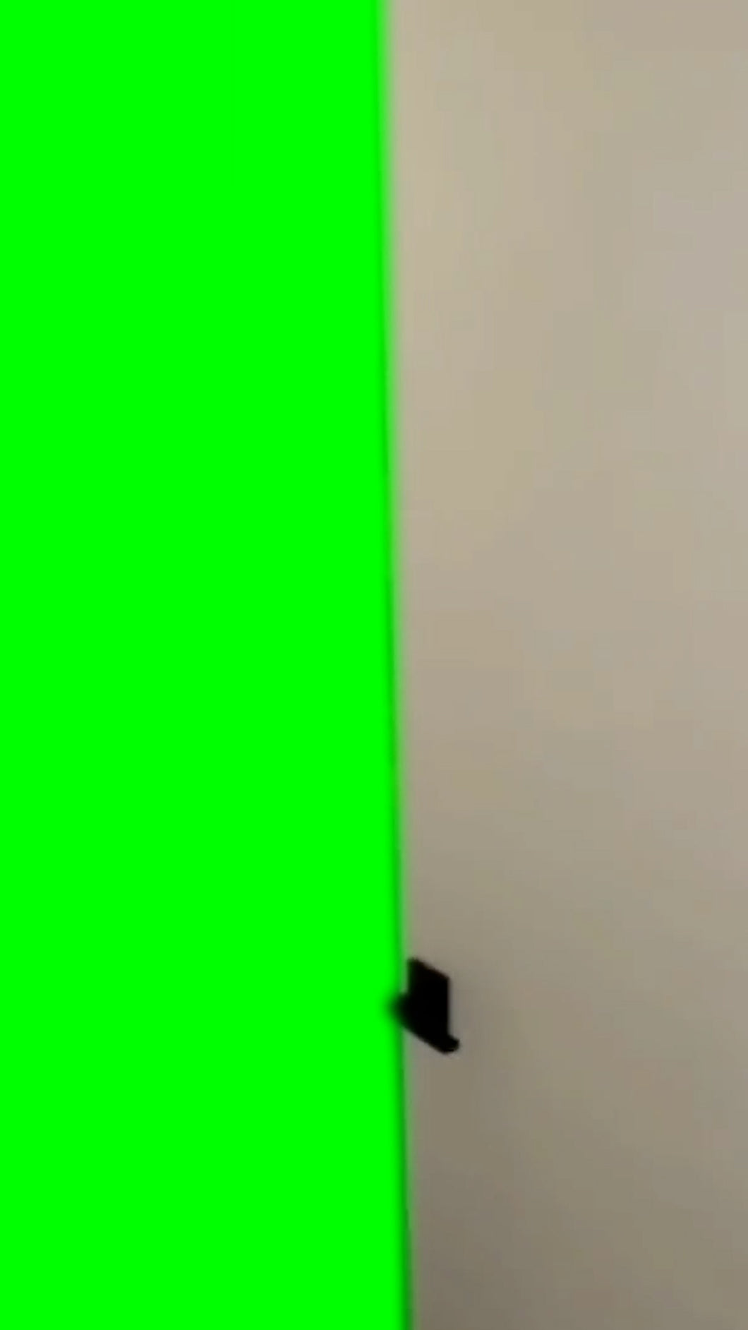Door Opening (Green Screen)