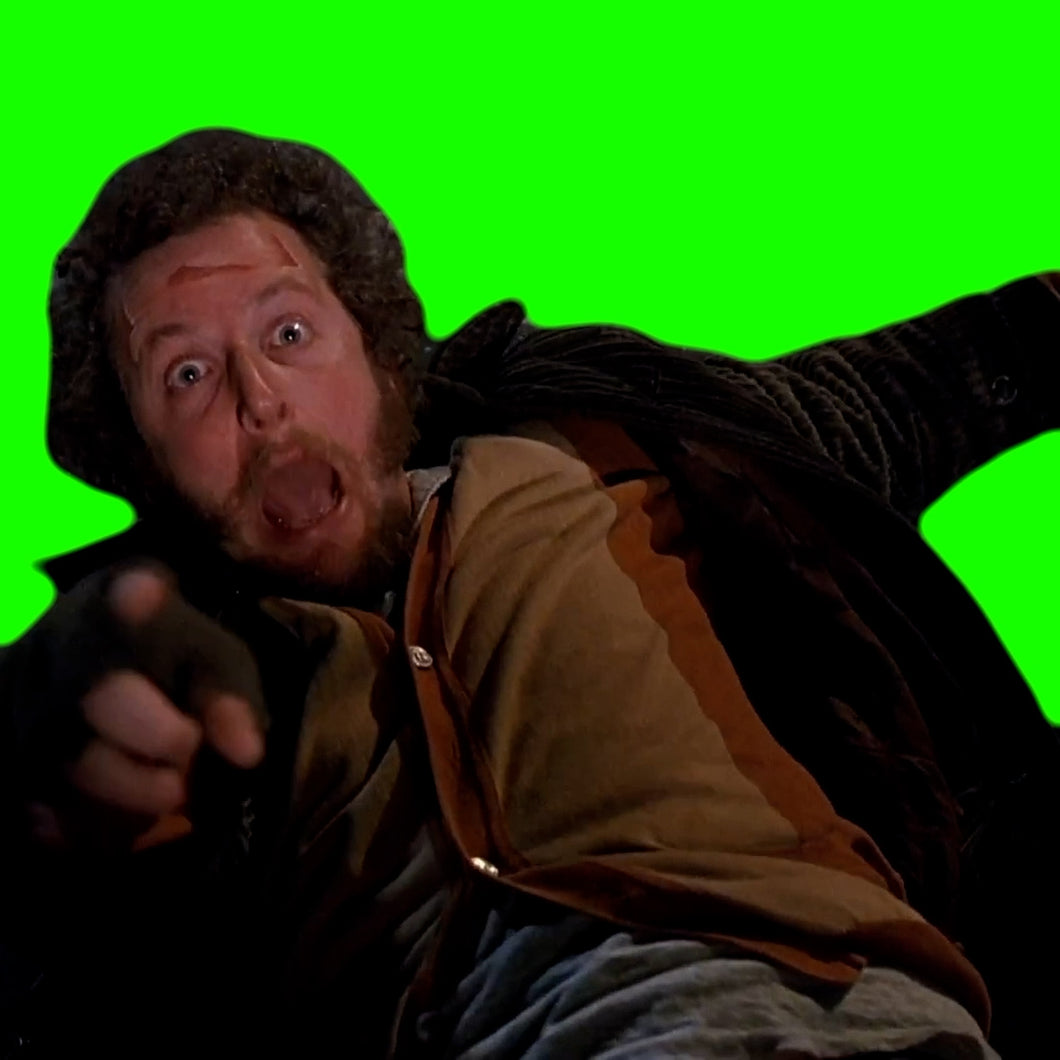 Home Alone 2 Gets Hit In The Head (Green Screen)