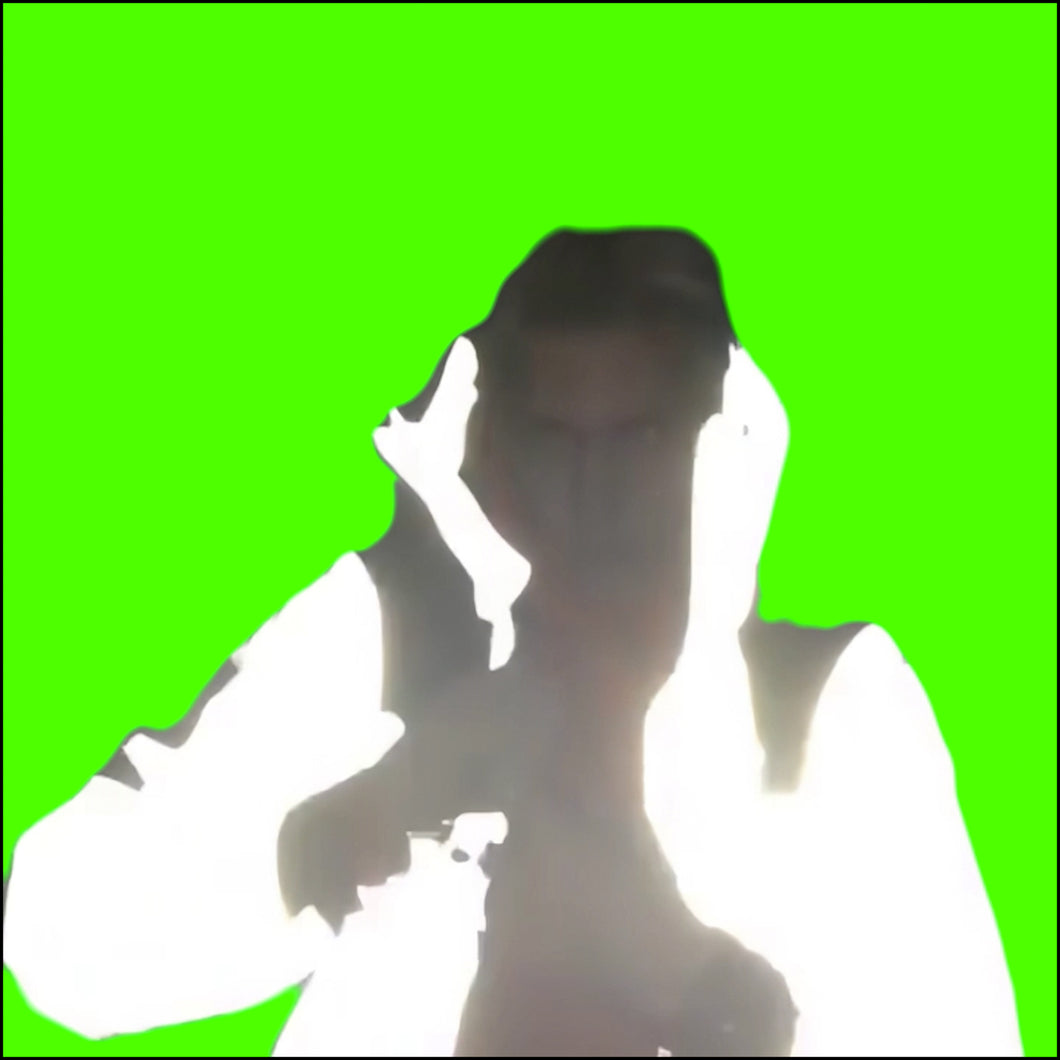 Shiny Jacket Meme (Green Screen)