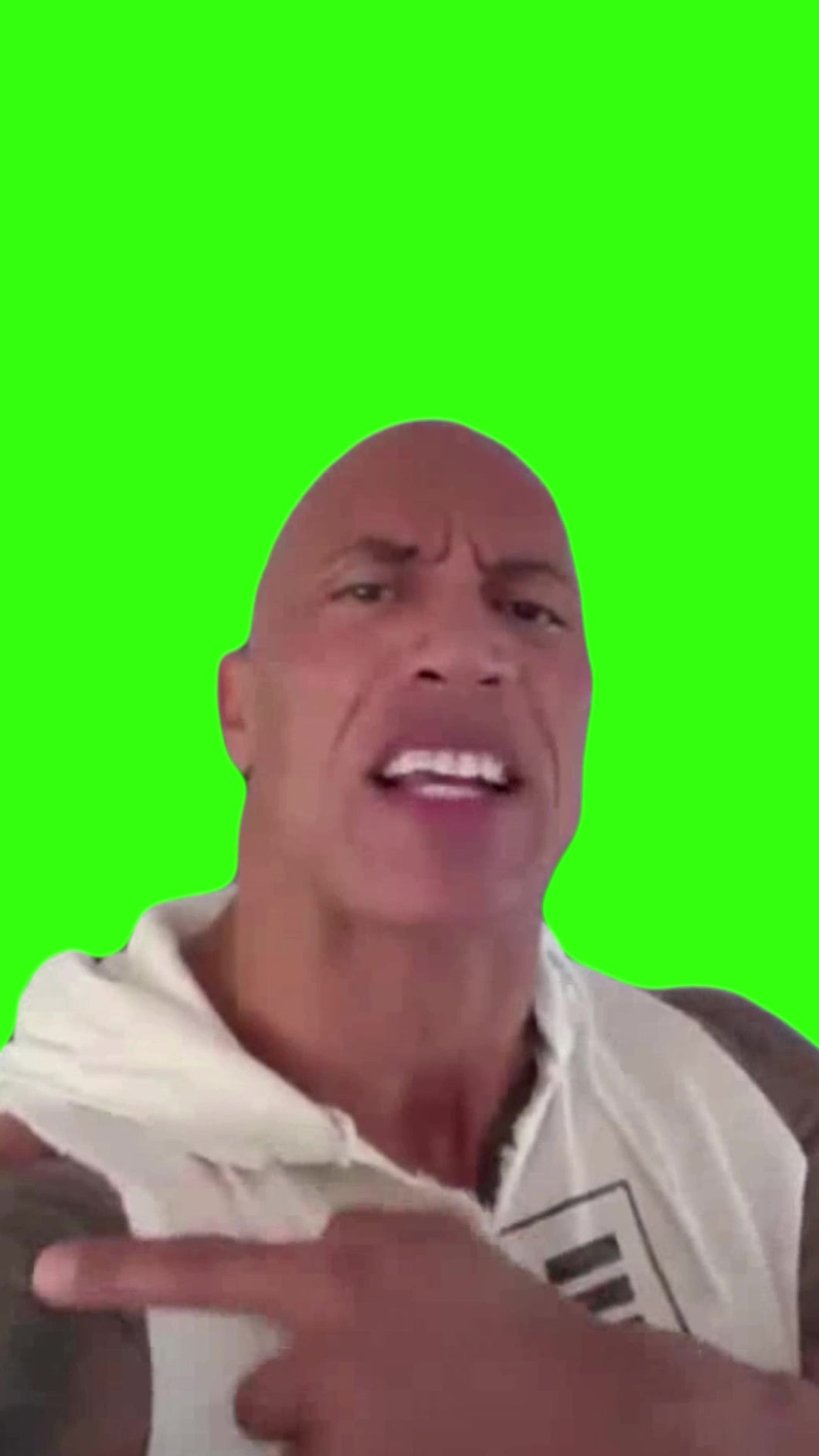 The Rock Eyebrow Meme Download