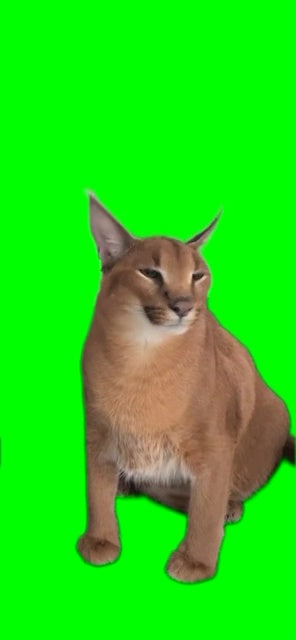 Floppa Cat Meme (Green Screen)